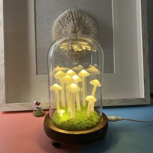 Funny Natural Housewarming Gift