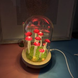 Lovely Red Mushroom Colored Night Light