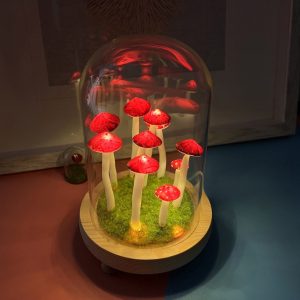 Lovely Red Mushroom Colored Night Light