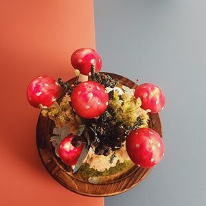 Red Mushroom with Dried Flower Rustic Lamb