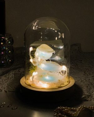 Sea Clam Pearl Night Light Dreamy Shell & Pearl