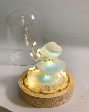 Sea Clam Pearl Night Light Dreamy Shell & Pearl