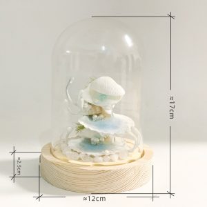 Sea Clam Pearl Night Light Dreamy Shell & Pearl