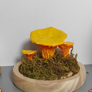 Unique Chanterelle Rustic Mushroom Lamp