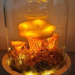 Unique Chanterelle Rustic Mushroom Lamp