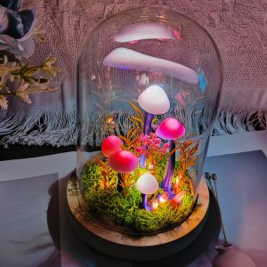 Dried Flower Mushroom Fairy Night Light