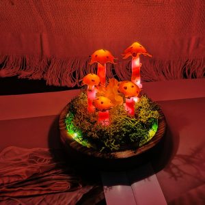 Enchanted Glow Red Dried Flower Mushroom Night Lamp