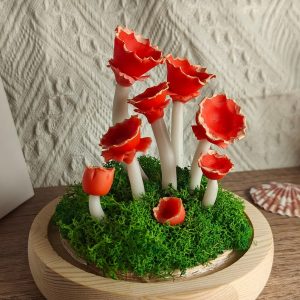 Red Quirky Mushroom Lamp