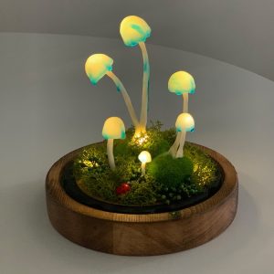 Wild Growing Mushrooms Lamp with ladybug