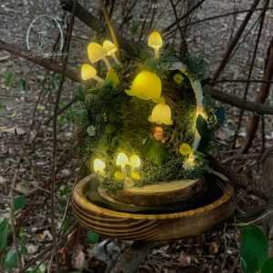 Cute Fairy Night Light Tree Hole with Mushroom Lamp ( 3 pcs)