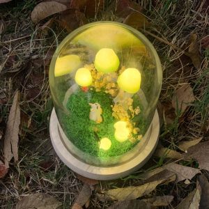 Green Mushroom Lamp with Couple Cats & Butterfly & Ladybug