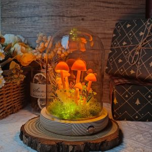 Orange Dried Flower Mushroom Lamp